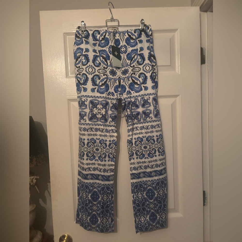 Tuckernuck Blue and White Patterned Pants